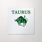 Custom Zodiac Mirror