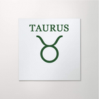 Custom Zodiac Mirror